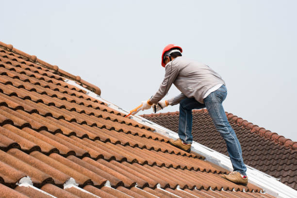 Best Asphalt Shingle Roofing  in Owosso, MI